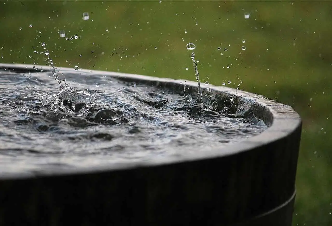 Come prevenire il ristagno d’acqua: soluzioni pratiche per la casa e il giardino
