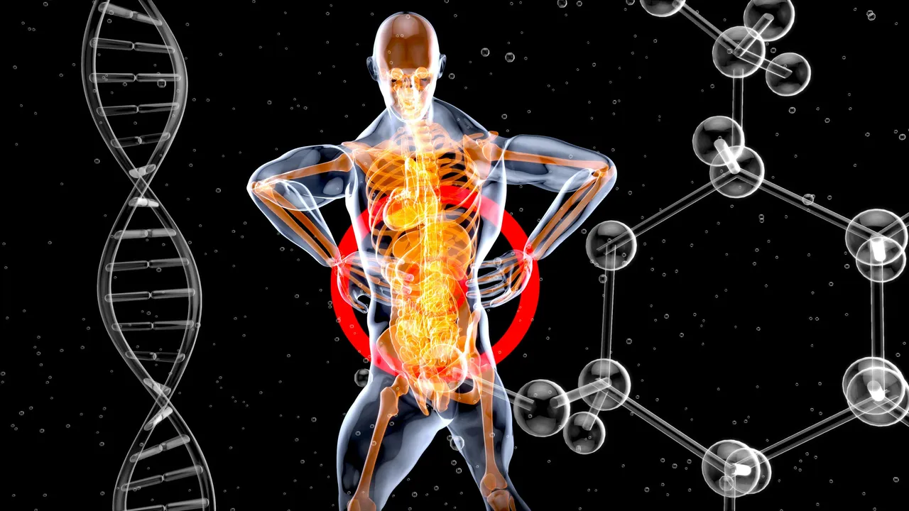 Osteoporosi: è possibile farla regredire? Strategie e consigli per rafforzare le ossa a tutte le età