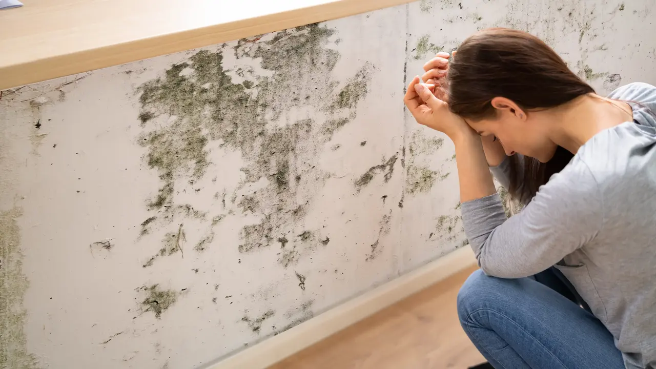 Umidità di risalita in casa: cause, conseguenze e soluzioni efficaci per proteggere le mura