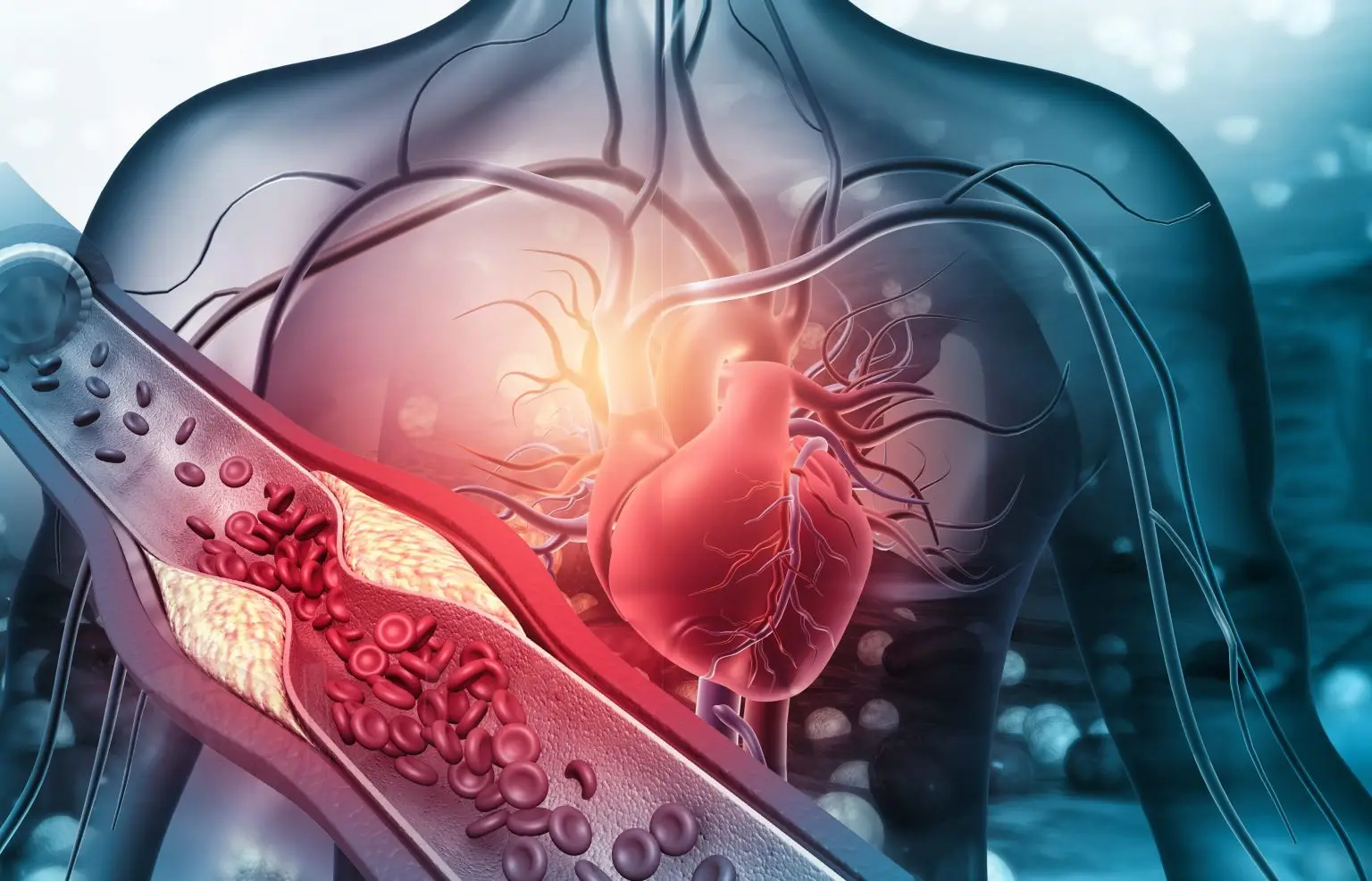 Paura di avere un infarto: perché il nostro corpo e la mente reagiscono così e cosa fare per vivere più sereni