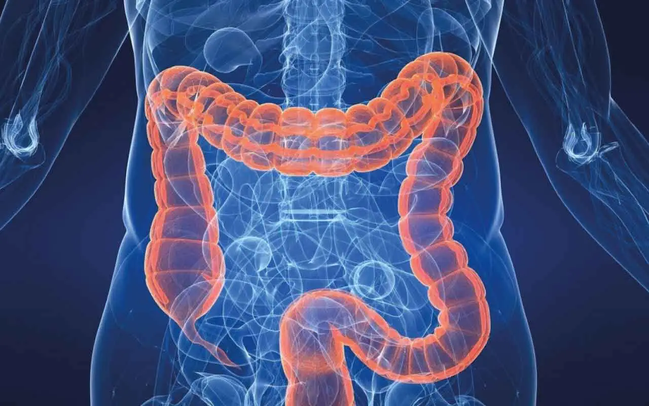 Non riesci a regolarizzare l’intestino? Ecco la bevanda che ogni mattina aiuta ad andare in bagno