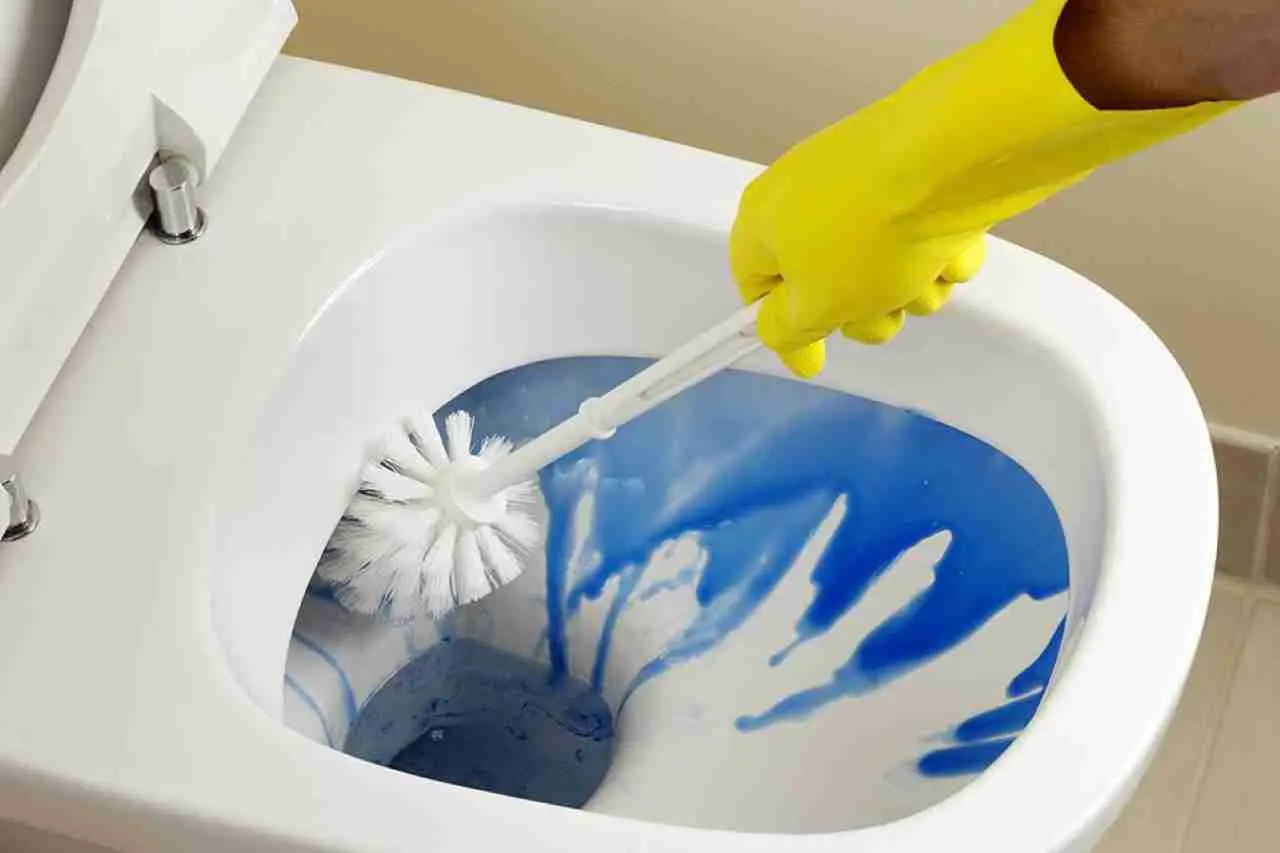 Prova questo rimedio naturale per disincrostare il WC in modo sorprendente