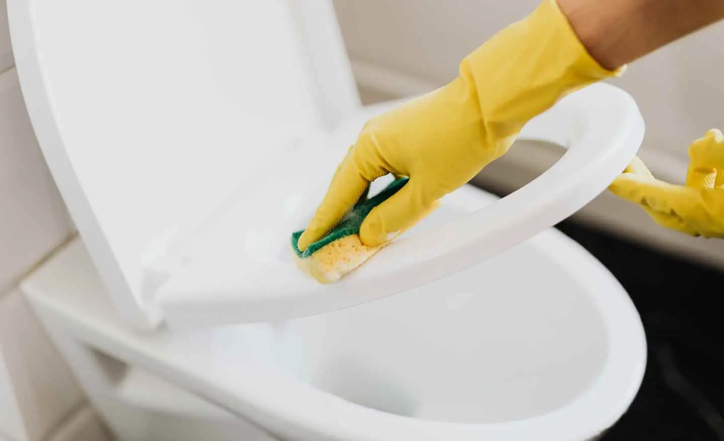 Pulire il wc: il tempismo giusto per un’igiene impeccabile in tutta la casa