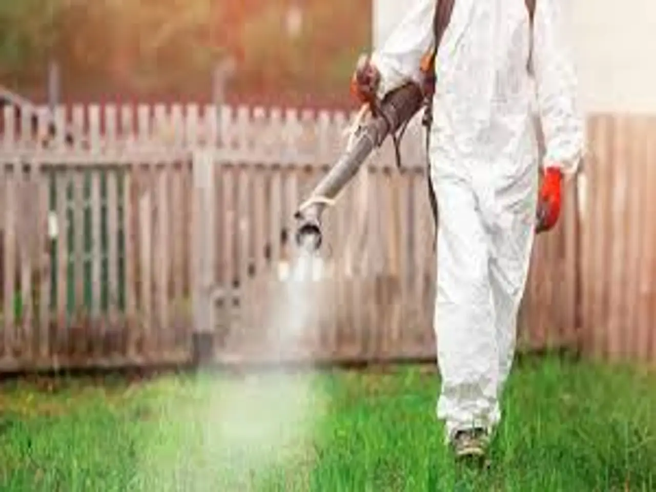 Sai cos’è il pest proofing? Ecco la tecnica definitiva per evitare infestazioni in casa