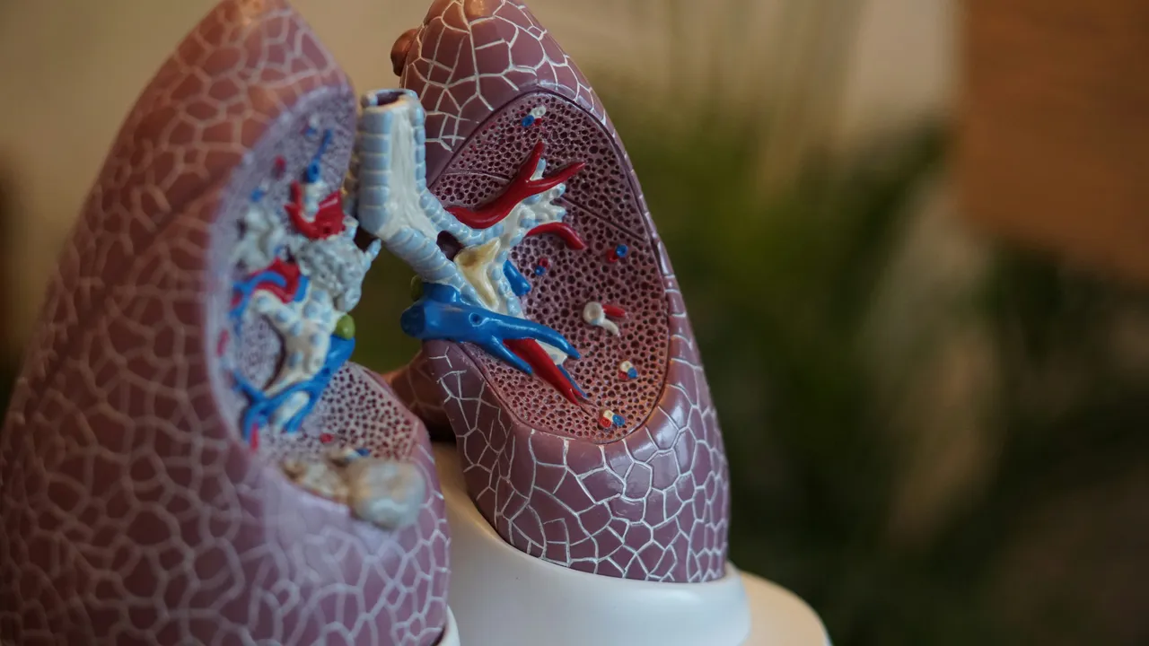 Bronchi e polmoni infiammati? Ecco lo specialista che devi contattare subito